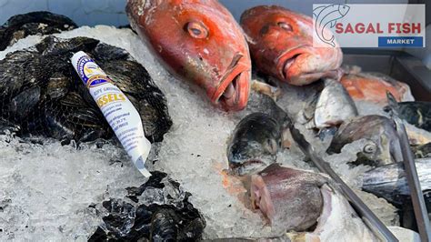  The Freshest Catch Fish Market Flash Mob 驚豔南非！